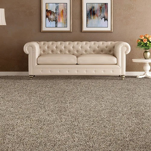 Bell's Carpets & Floors providing easy stain-resistant pet proof carpet in Raleigh, NC