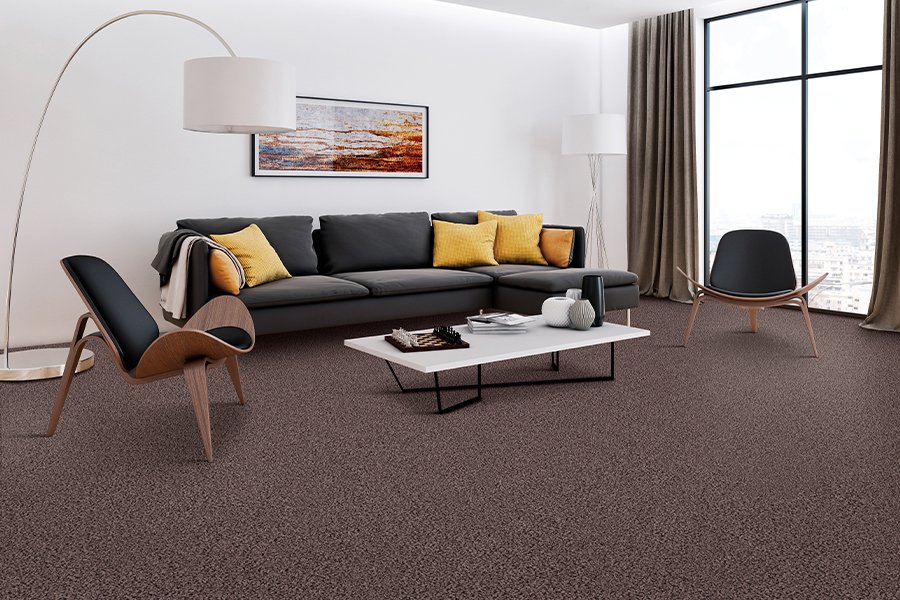 Blog article: Carpet flooring, performance, and longevity